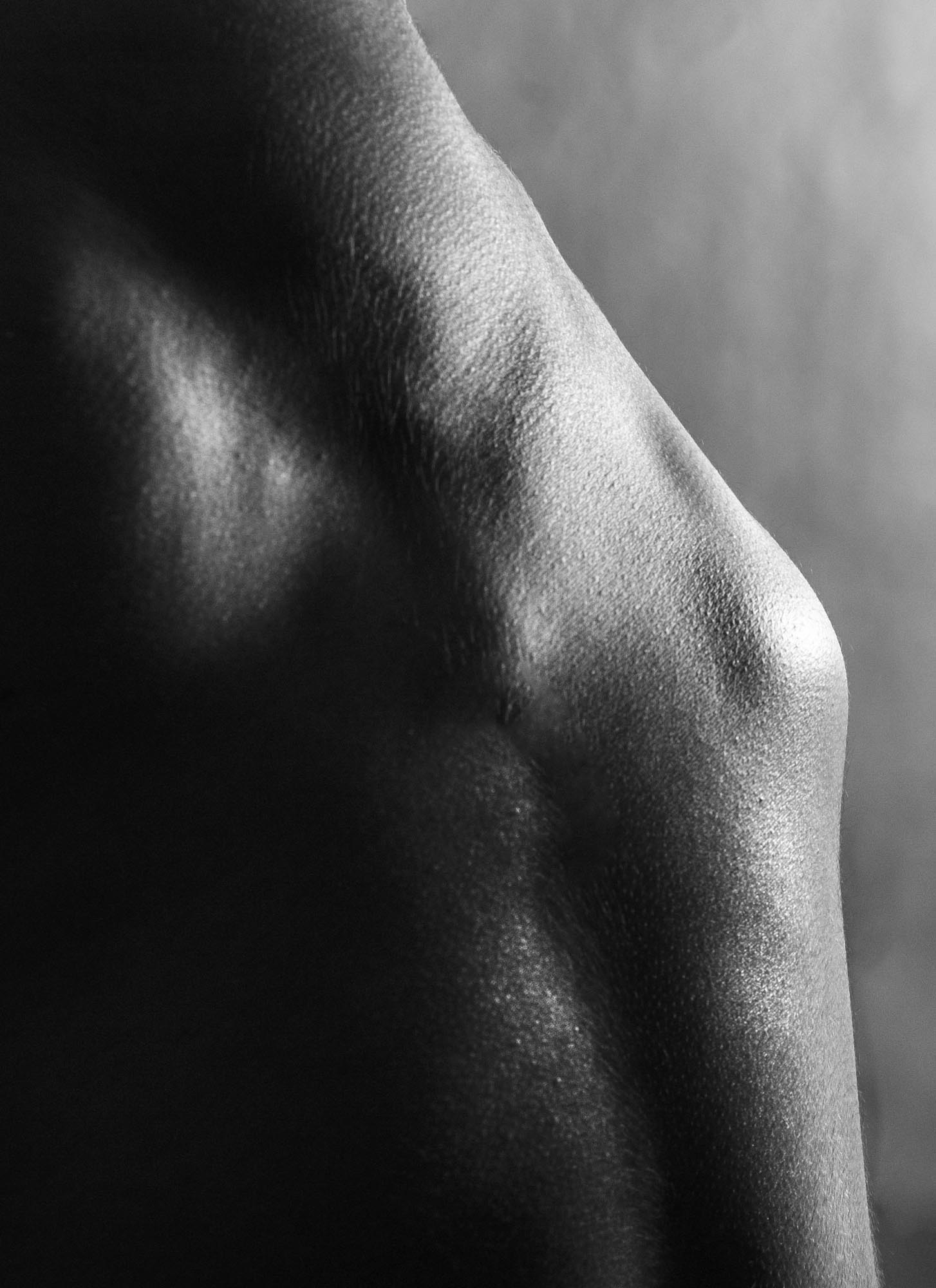ribs
